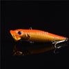 Big Popper Fishing Lures 3d