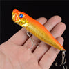 Big Popper Fishing Lures 3d