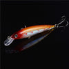 FREE Floating Minnow Fishing Lure ( Just pay shipping )