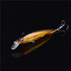 FREE Floating Minnow Fishing Lure ( Just pay shipping )