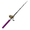 Telescopic Mini Fishing