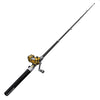 Telescopic Mini Fishing