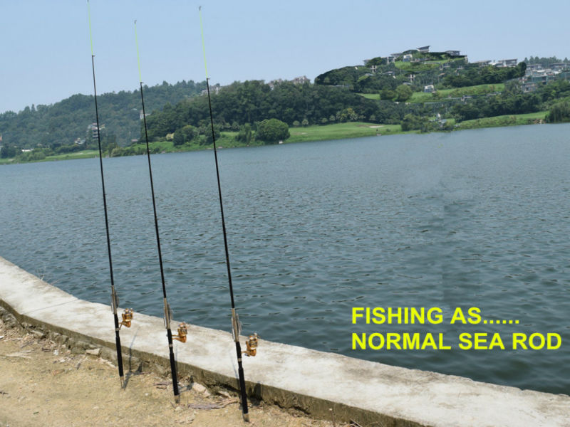 Automatic Fishing Rod (Without Reel) Automatic Fishing Rod (Without Reel)